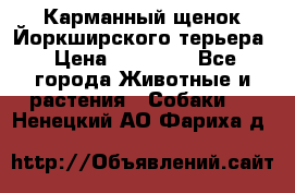 Карманный щенок Йоркширского терьера › Цена ­ 30 000 - Все города Животные и растения » Собаки   . Ненецкий АО,Фариха д.